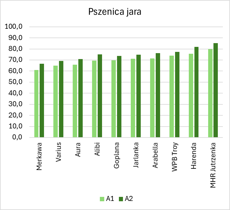 Wykres przedstawia plonowanie 10 badanych odmianach pszenicy jarej dla dwóch technologii (A1 i A2) w 2023 roku. Plony pszenicy jarej dla badanych odmian mieściły się w przedziale od 61,1 dt/ha (Merkawa) do 79,8 dt/ha (MHR Jutrzenka) w technologii A1, natomiast w A2 od 66,5 dt/ha (Merkawa) do 85,3 dt/ha (MHR Jutrzenka). Wszystkie odmiany uzyskały wyższy plon w technologii A2. Najwyższa różnica miedzy plonowaniem dla danej odmiany pomiędzy technologią A1 a A2 wystąpiła u odmiany Harenda, u której plon uzyskiwany przy zastosowaniu technologii A2 był wyższy o 6,1 dt/ha. Najniższa różnica w wystąpiła dla odmiany WPB Troy, u której plon był wyższy o 3,5 dt/ha dla technologii A2.