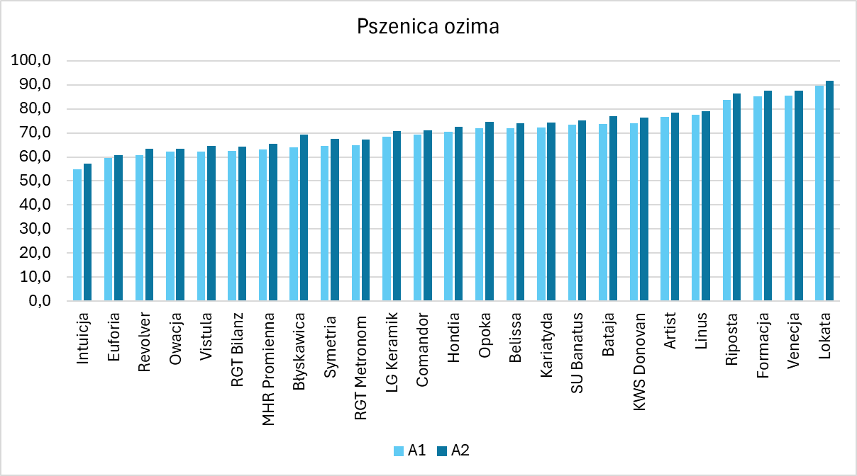 Wykres przedstawia plonowanie 25 badanych odmianach pszenicy ozimej dla dwóch technologii (A1 i A2) w 2023 roku. Plony pszenicy ozimej dla badanych odmian mieściły się w przedziale od 54,8 dt/ha (Intuicja) do 89,6 dt/ha (Lokata) w technologii A1, natomiast w A2 od 57,1 dt/ha (Intuicja) do 91,5 dt/ha (Lokata). Wszystkie odmiany uzyskały wyższy plon w technologii A2. Najwyższa różnica miedzy plonowaniem dla danej odmiany pomiędzy technologią A1 a A2 wystąpiła u odmiany Błyskawica, u której plon uzyskiwany przy zastosowaniu technologii A2 był wyższy o 5,1 dt/ha. Najniższa różnica w wystąpiła dla odmiany Euforia, u której plon był wyższy o 1,2 dt/ha dla technologii A2.