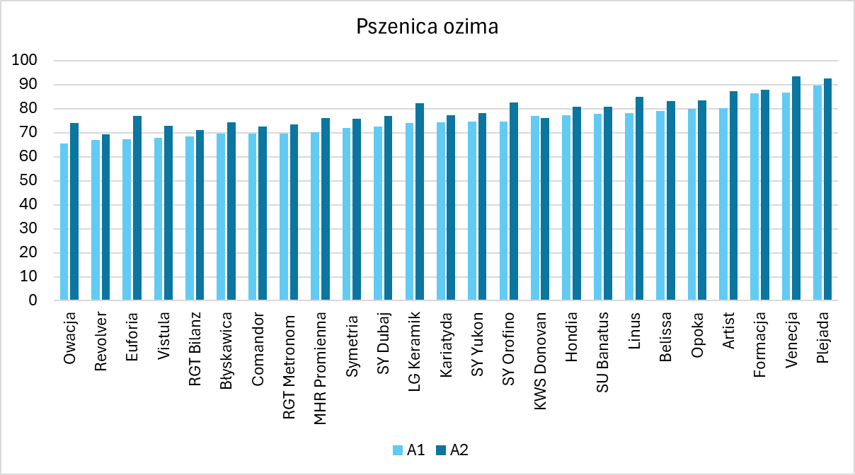 Wykres przedstawia plonowanie 25 badanych odmianach pszenicy ozimej dla dwóch technologii (A1 i A2) w 2024 roku. Plony pszenicy ozimej dla badanych odmian mieściły się w przedziale od 65,5 dt/ha (Owacja) do 89,6 dt/ha (Plejada) w technologii A1, natomiast w A2 od 69,5,1 dt/ha (Revolver) do 93,6 dt/ha (Venecja). Najwyższa różnica miedzy plonowaniem dla danej odmiany pomiędzy technologią A1 a A2 wystąpiła u odmiany Euforia, u której plon uzyskiwany przy zastosowaniu technologii A2 był wyższy o 9,8 dt/ha. Najniższa różnica w wystąpiła dla odmiany KWS Donovan, u której plon był wyższy o 0,8 dt/ha dla technologii A1. Wyłącznie odmiana KWS Donovan dała niższy plon w technologii A2.